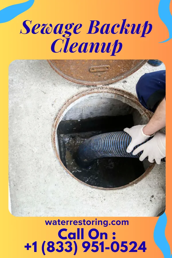 Sewage Backup Cleanup in St. George, MO
